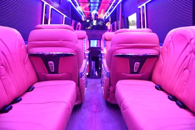 2025 Luxury Sprinter Build image 1