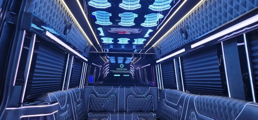 Infinity Ceiling Sprinter 2025 image 1