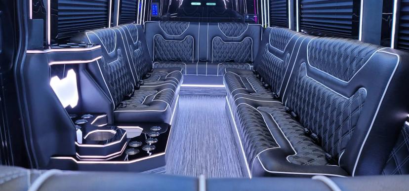 Infinity Ceiling Sprinter 2025 image 2