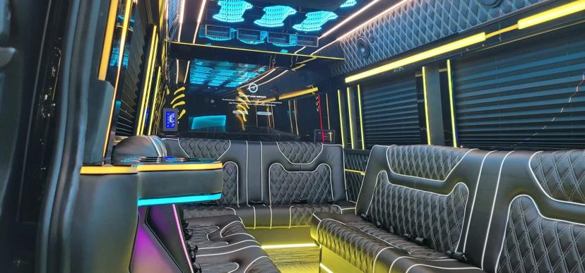 Infinity Ceiling Sprinter 2025 image 4